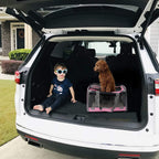 Pet Carrier for Large and Medium Cat, Soft-Sided Pet Crate for Puppy