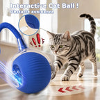 Interactive Motion-Activated Cat Balls – Automatic Rolling Toys for Indoor Cats