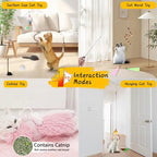 4-in-1 Interactive Cat Toy Set – Complete Play Kit
