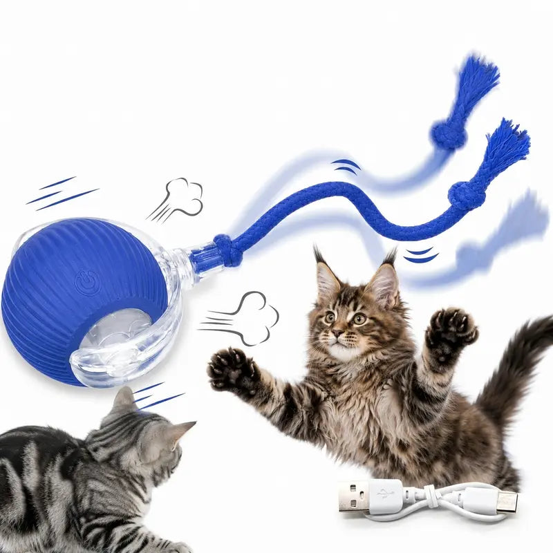 Interactive Motion-Activated Cat Balls – Automatic Rolling Toys for Indoor Cats