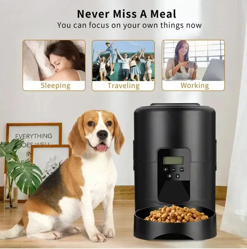 2L Automatic Smart WIFI Cat Feeder