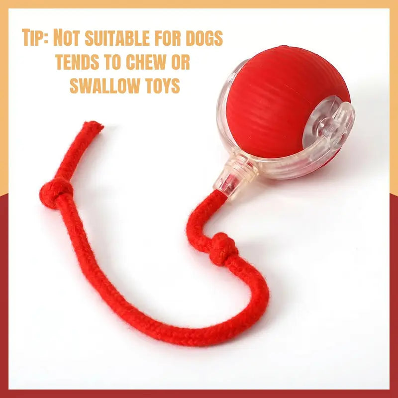Interactive Motion-Activated Cat Balls – Automatic Rolling Toys for Indoor Cats
